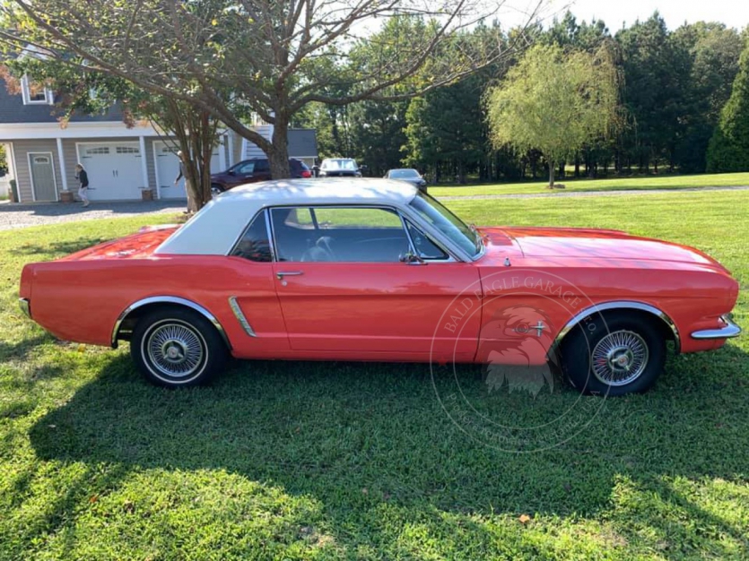 Veterán Ford Mustang 1965