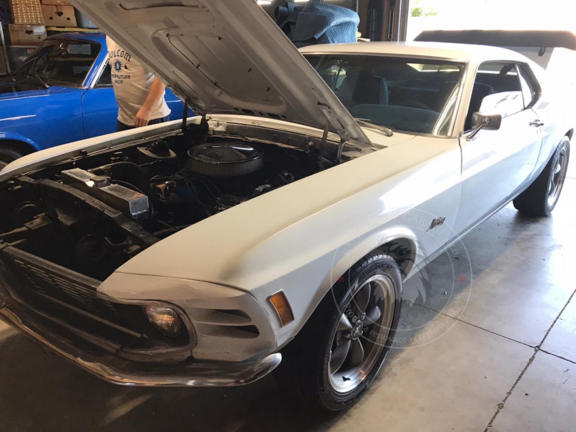 Veterán Ford Mustang 1970