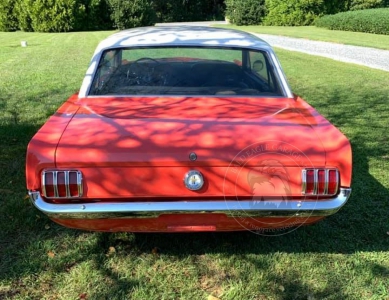 Veterán Ford Mustang 1965