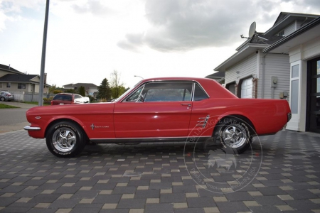 Veterán Ford Mustang Coupe 1966