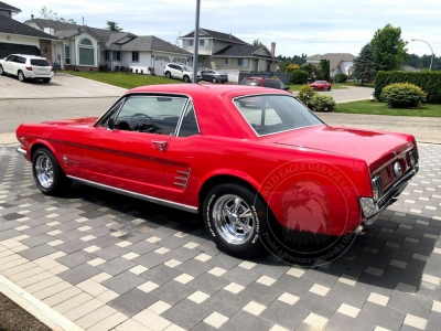 Veterán Ford Mustang Coupe 1966