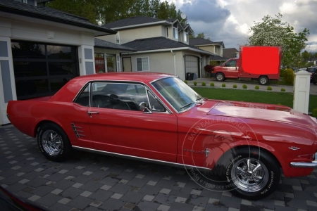 Veterán Ford Mustang Coupe 1966