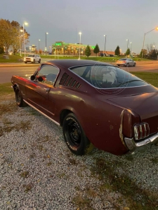 Veterán Ford Mustang fastback 1966