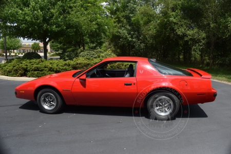 Veterán Pontiac Firebird 1986