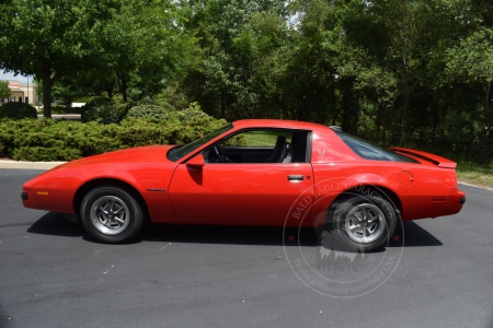 Veterán Pontiac Firebird 1986