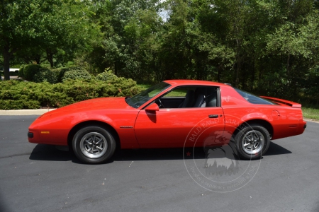 Veterán Pontiac Firebird 1986