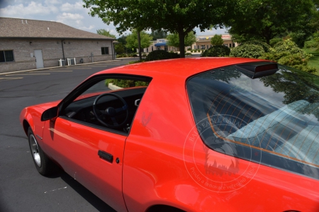 Veterán Pontiac Firebird 1986