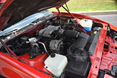 Veterán Pontiac Firebird 1986