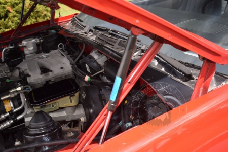 Veterán Pontiac Firebird 1986