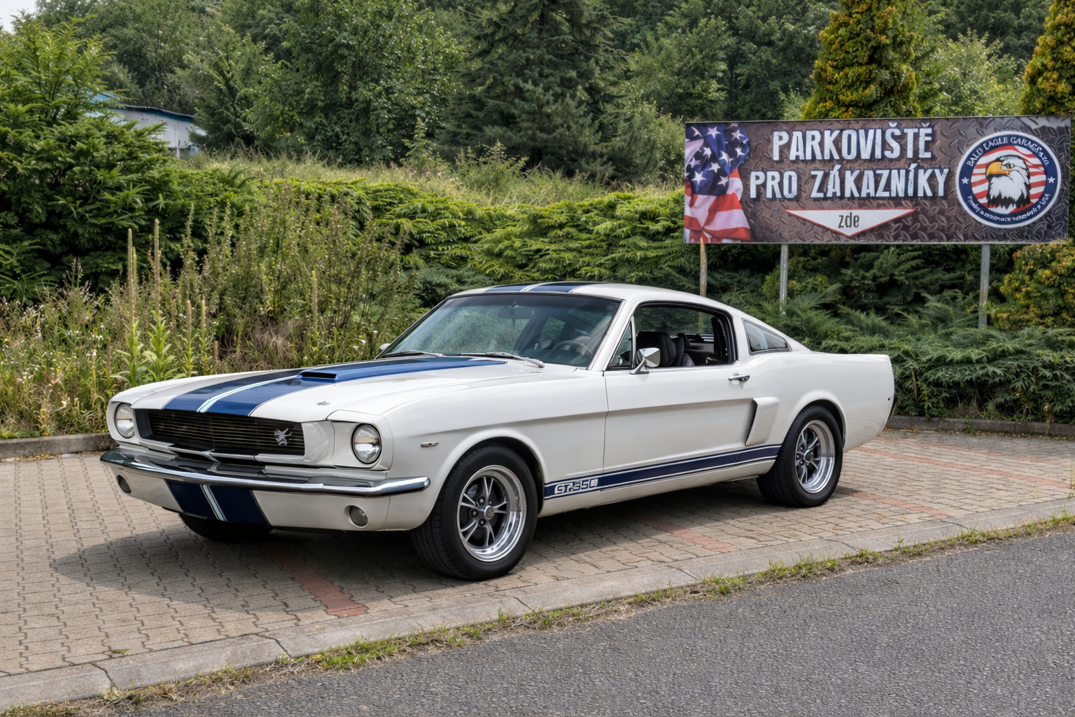 Shelby GT350 Tribute